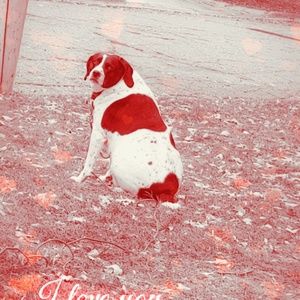 Meet your Posher, Tashia